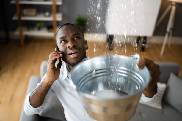 Best Basement water damage restoration  in Indian Head, MD