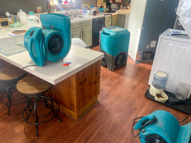Water damage restoration insurance claims in Indian Head, MD