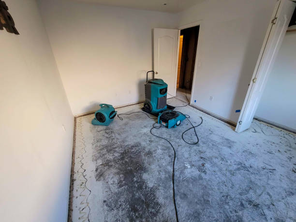 Best Carpet water damage restoration  in Indian Head, MD