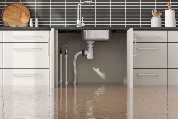 Best 24/7 water damage repair  in Indian Head, MD
