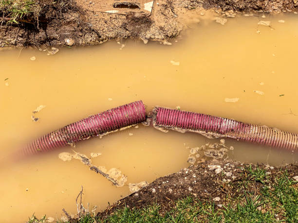 Professional Water damage restoration in Indian Head, MD
