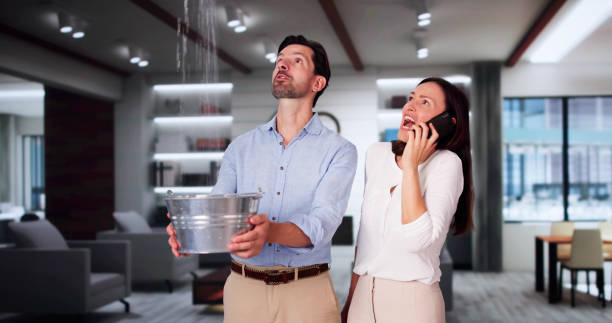 Best Water damage restoration mold remediation  in Indian Head, MD