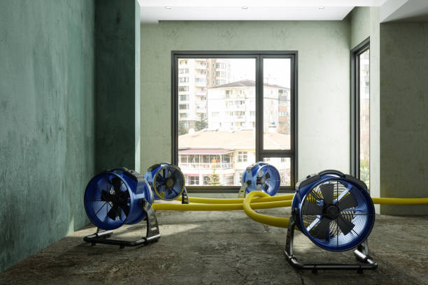 Best Water damage restoration insurance claims  in Indian Head, MD